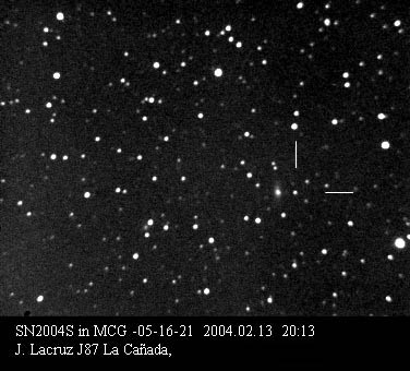 SN2004S