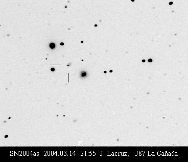 SN2004as